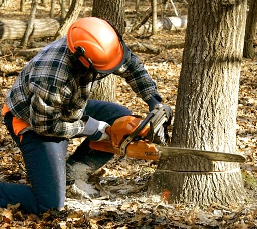 Tree Removal in Kenefic, OK